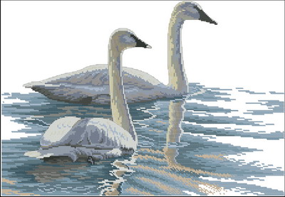 DIM03879 Graceful Swan