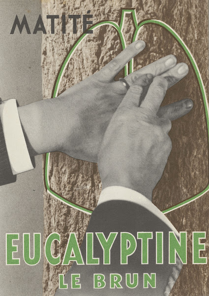 Eucalyptine Le Brun 1910 1950