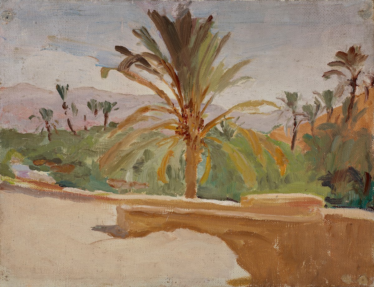 Biskra Oasis with Palm Trees 1909
