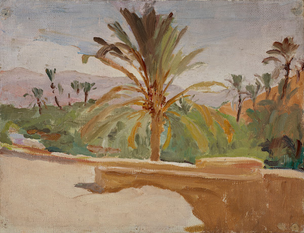 Biskra Oasis with Palm Trees 1909