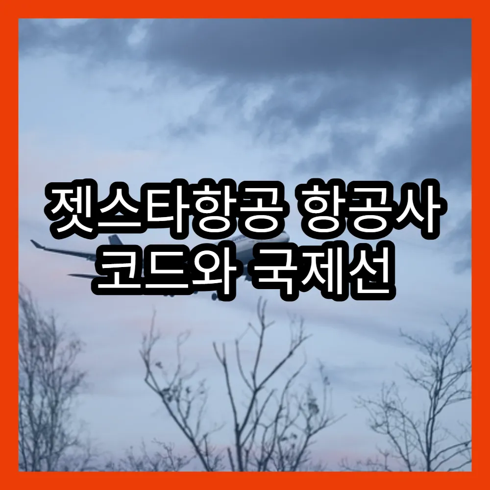 젯스타항공 항공사 코드와 국제선 이용 팁