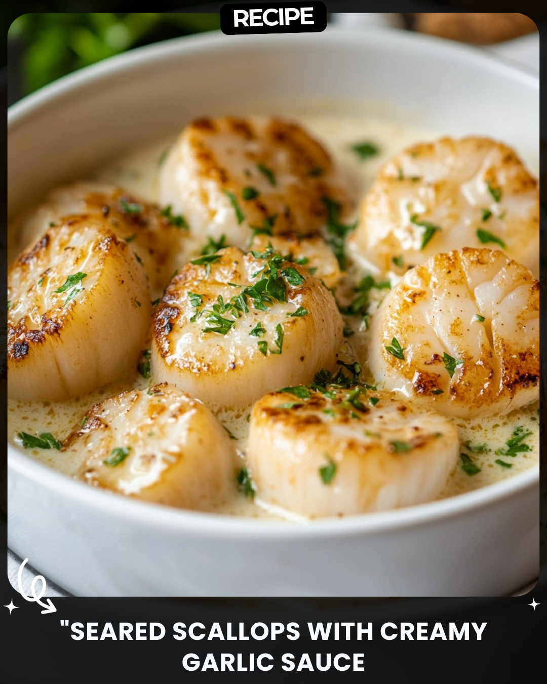 "Seared Scallops with Creamy Garlic Sauce