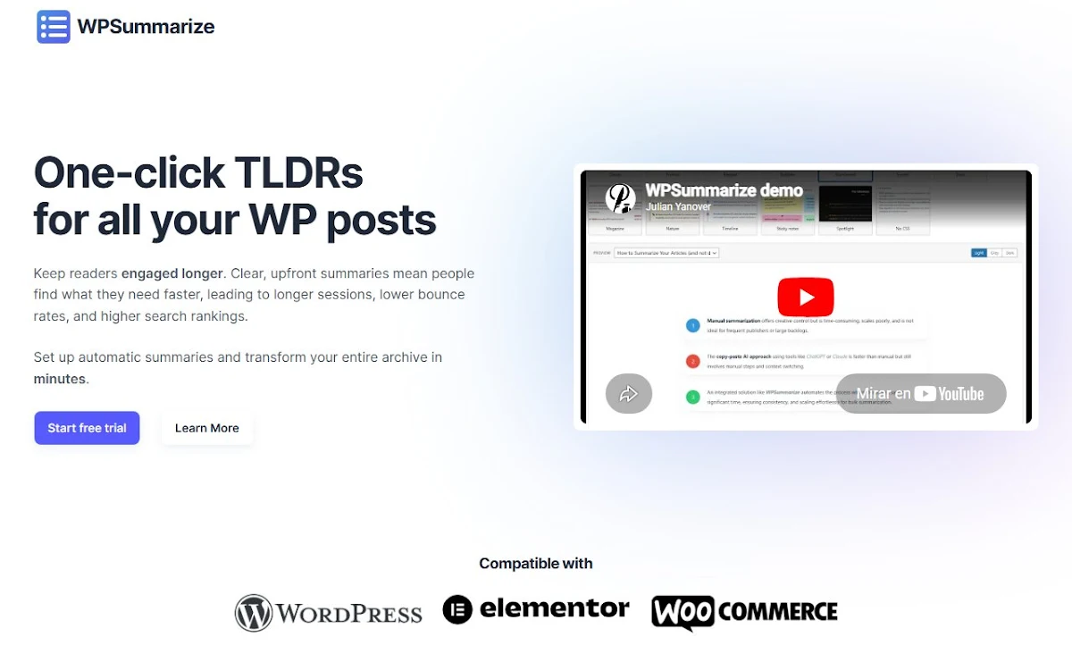 Captura de WPSummarize