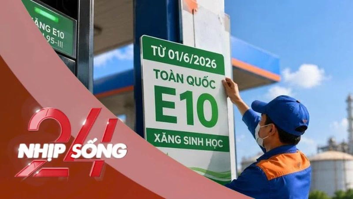 NHỊP SỐNG 24: Xăng sinh học E10 bán đại trà từ hôm nay, Bộ Công thương khuyến cáo người dùng điều gì? - Báo Tiền Phong