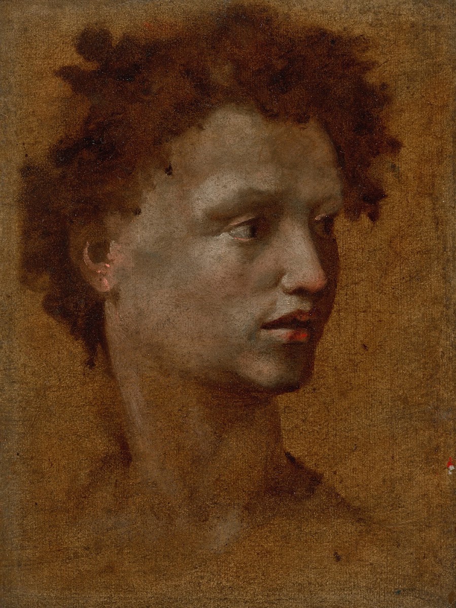 Head of a Youth 1530