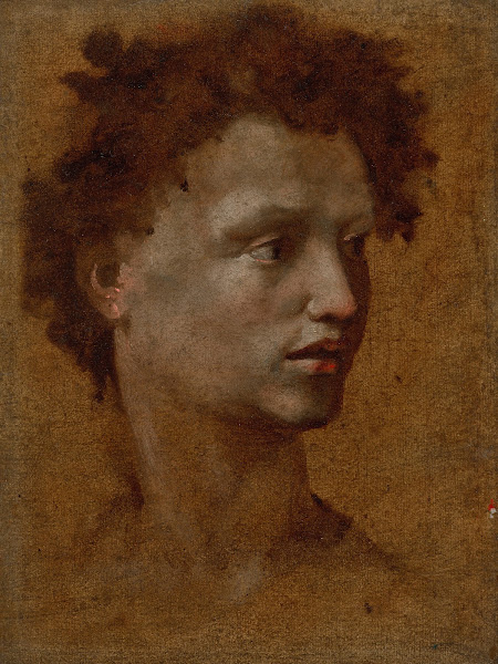 Head of a Youth 1530
