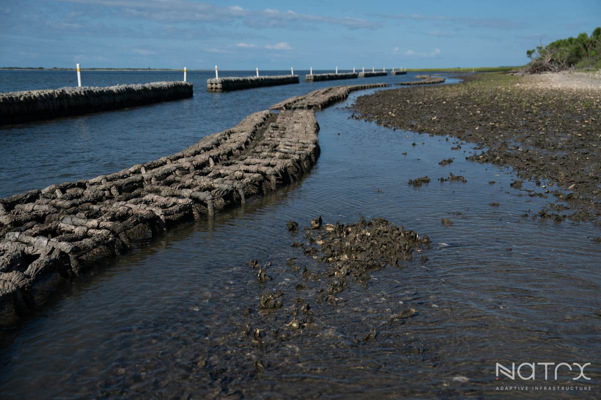 MY PRO PHOTOGRAPHER (193 of 243).jpg