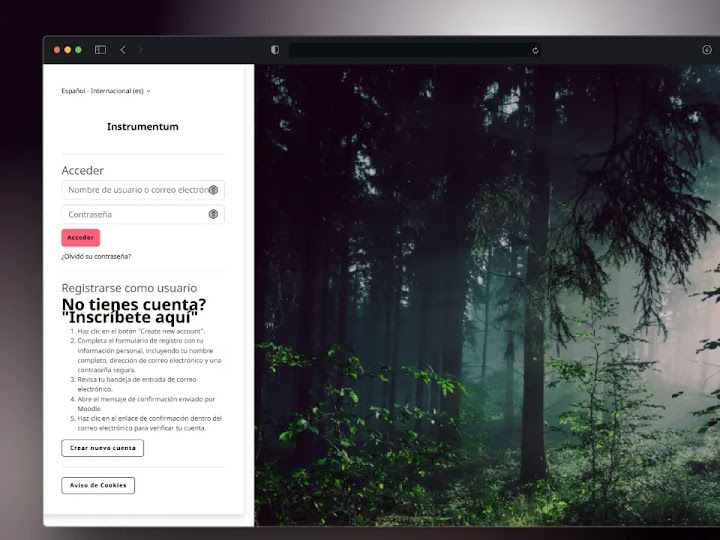Captura de pantalla del proyecto