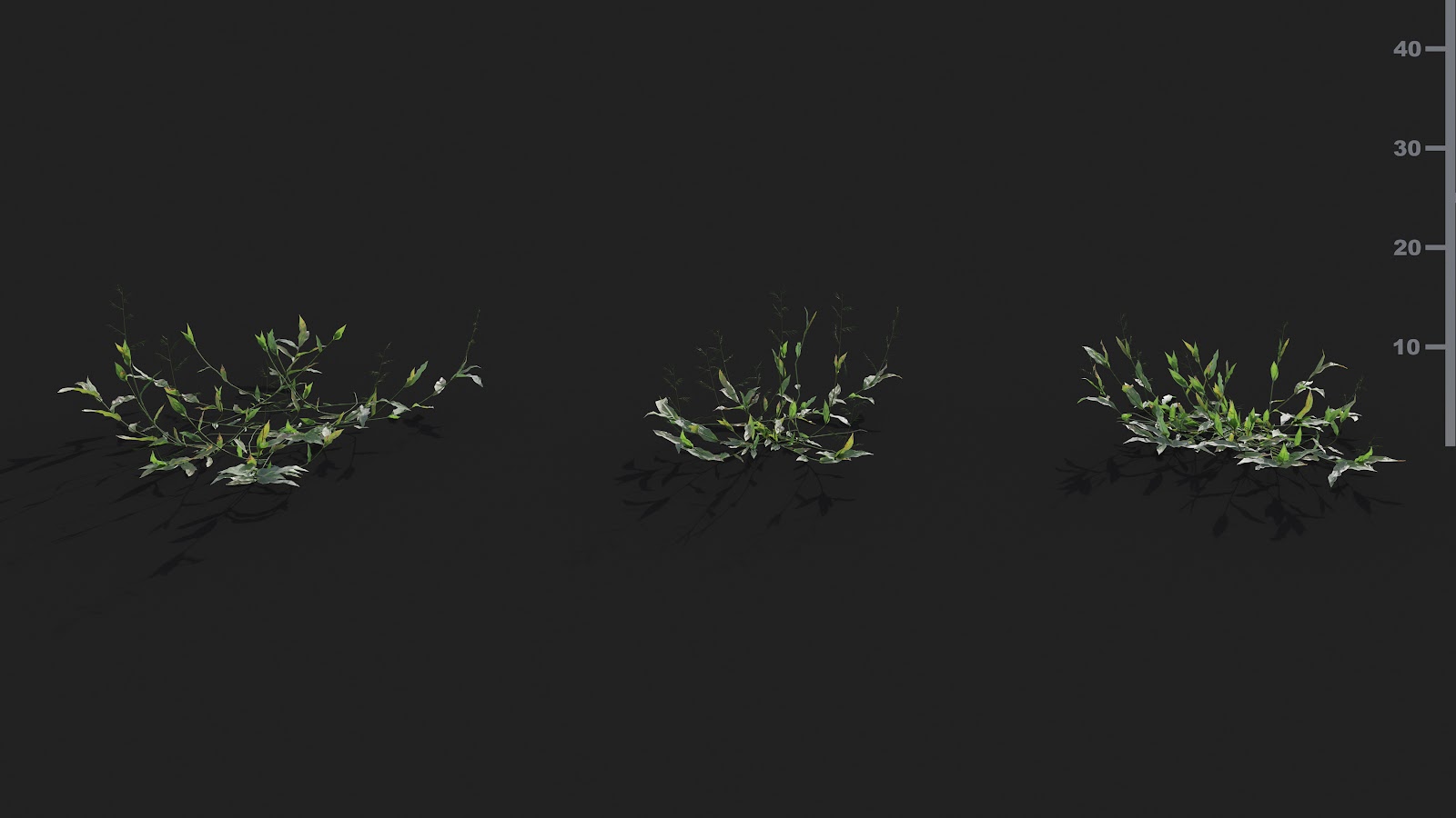 Maxtree - Plant Models Vol.21