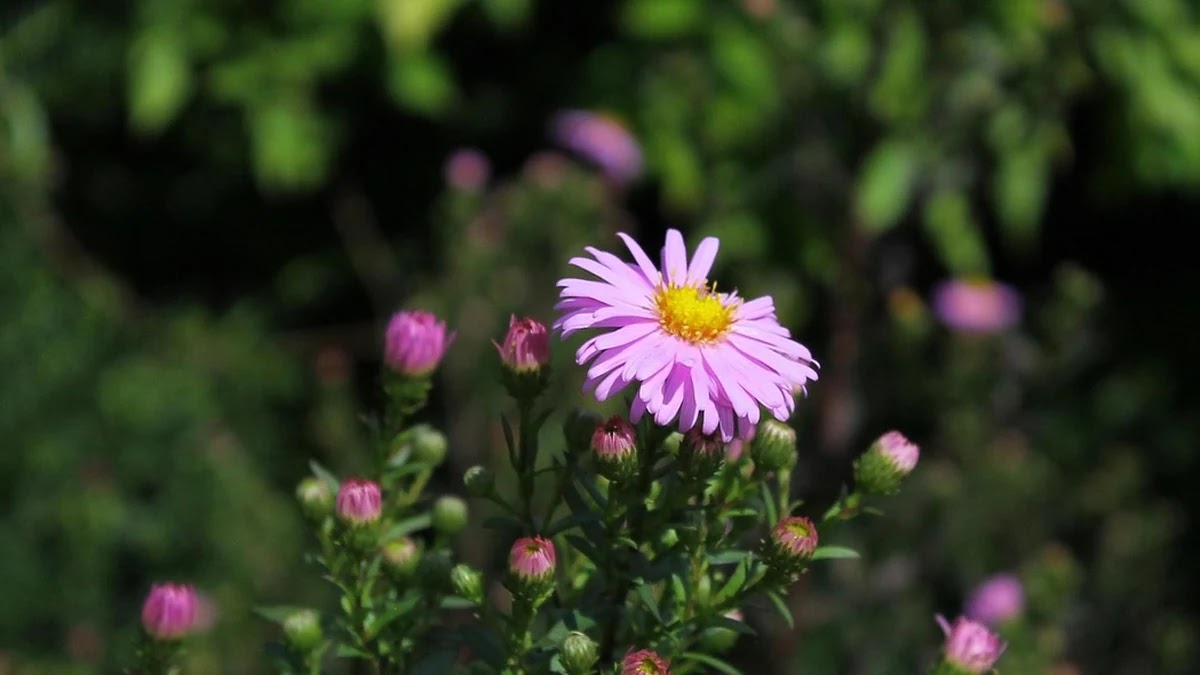 1차 세계대전과 2차 세계대전 원인과 전개 과정 비교