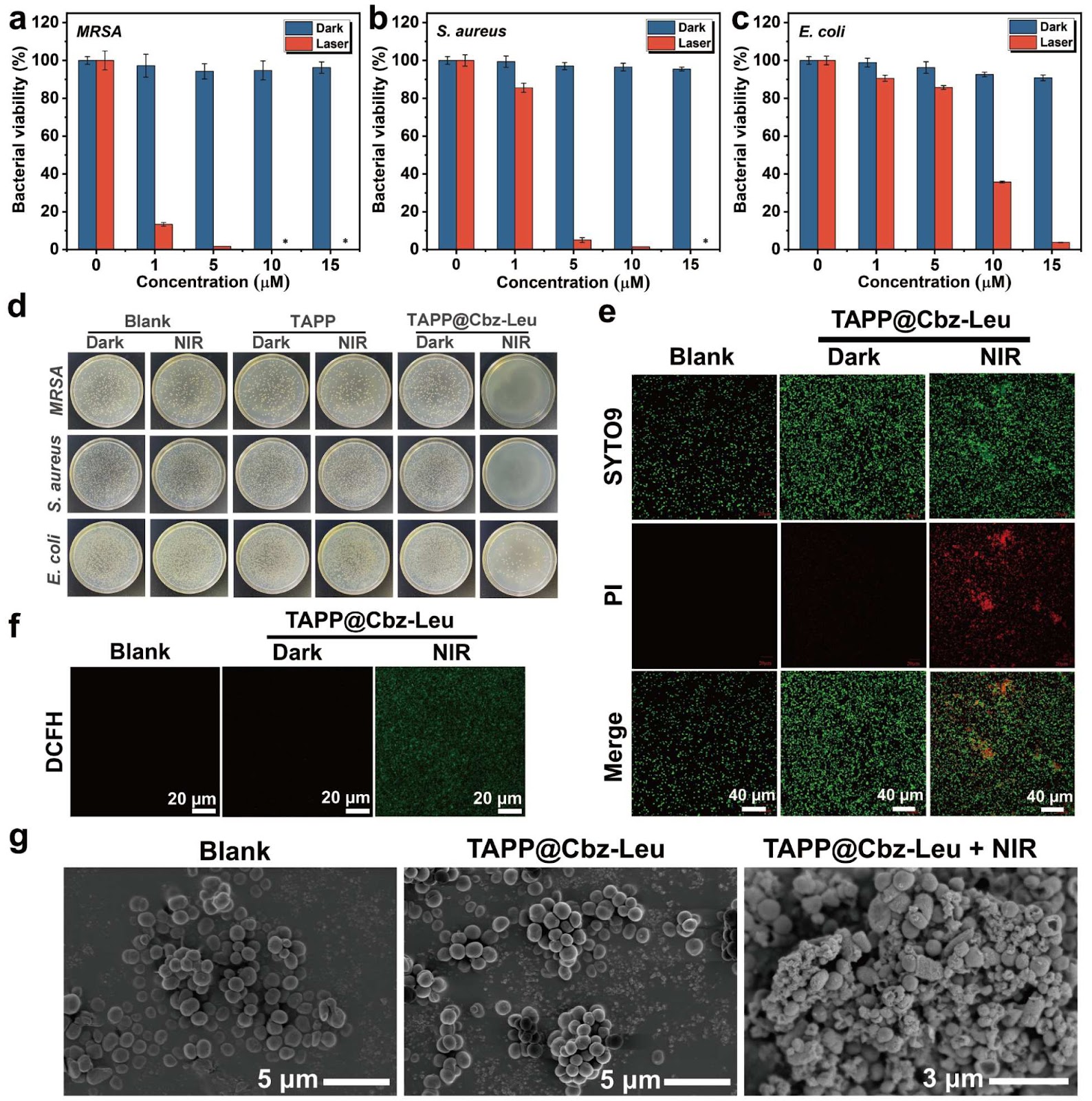 Porphyrin-assembled nano-photosensitizer with near-infrared response for highly efficient type I photodynamic and photothermal therapy