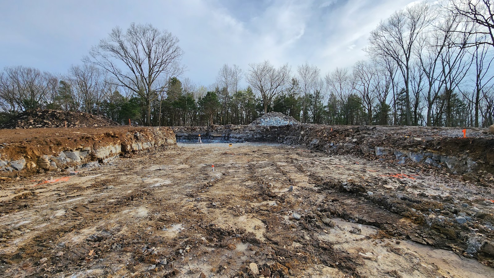Redbud overview
