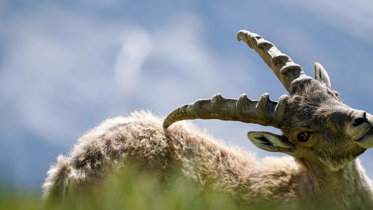 존중이라는 단어의 어원과 시대별 사회적 의미 변화