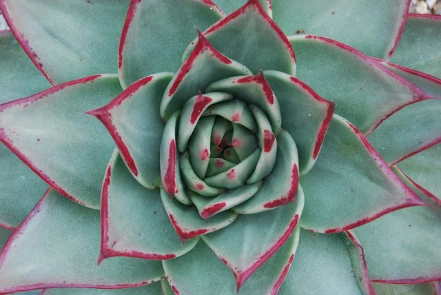 중학교 수학 &lsquo;비례식&rsquo; 개념: 단위비와 비율이 헷갈릴 때 정리법