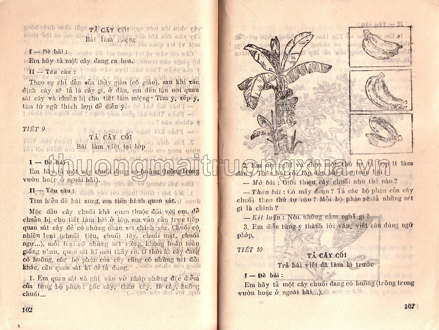 Tiếng Việt 4, tập 1 (1989) - Trang 52