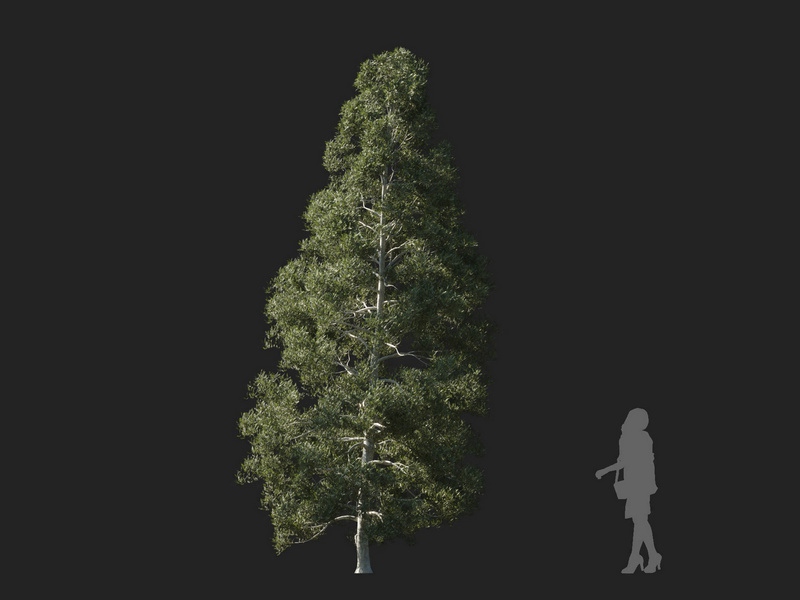 Maxtree - Plant Models Vol.127