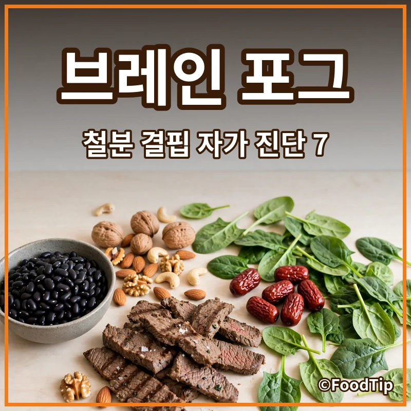 머리가 멍할 때? 2040 직장인을 위한 브레인 포그 & 철분 결핍 자가 진단 가이드 7가지