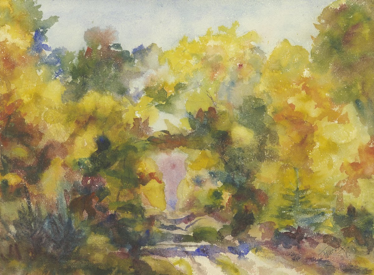 Forest path 1921