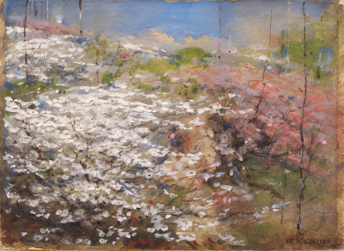 Field Of Blossoms 1927