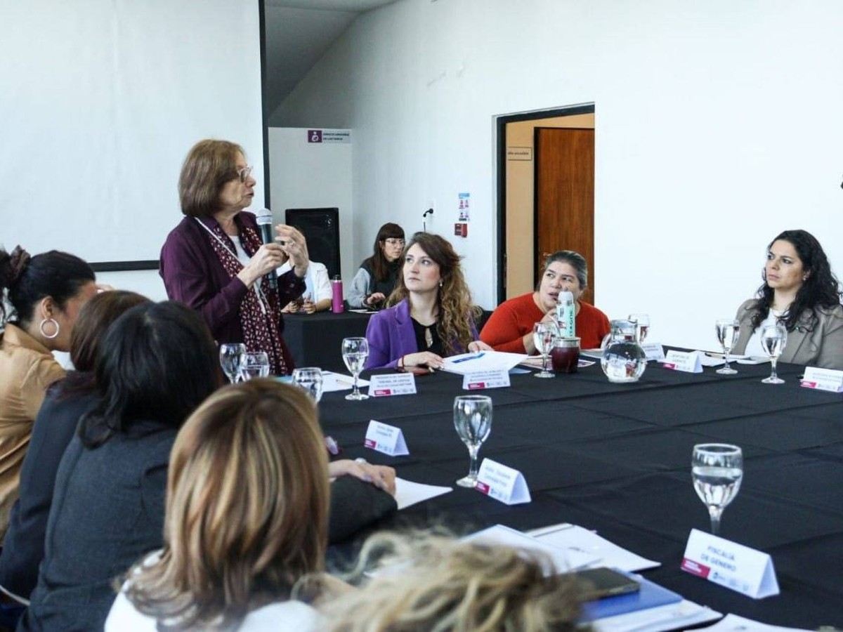 La Dra. Battaini, impulsó a fortalecer el trabajo permanente del Consejo Consultivo de la Mujer