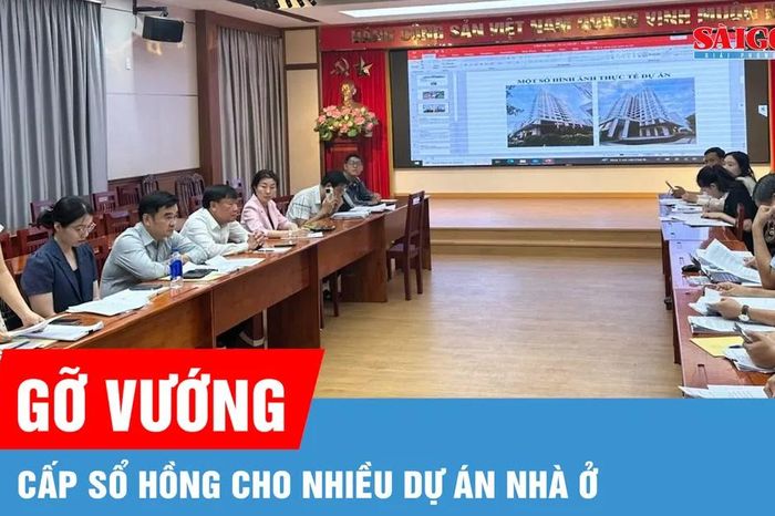 TPHCM gỡ vướng cấp sổ hồng cho nhiều dự án nhà ở - Báo Sài Gòn Giải Phóng