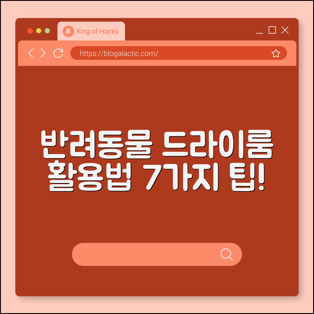 반려동물 드라이룸 활용법 7가지