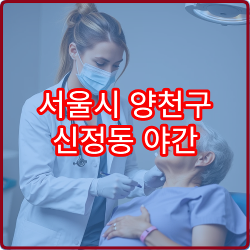 서울시 양천구 신정동 야간 진료 가능한 치과 야간 응급 상황 대응 정보