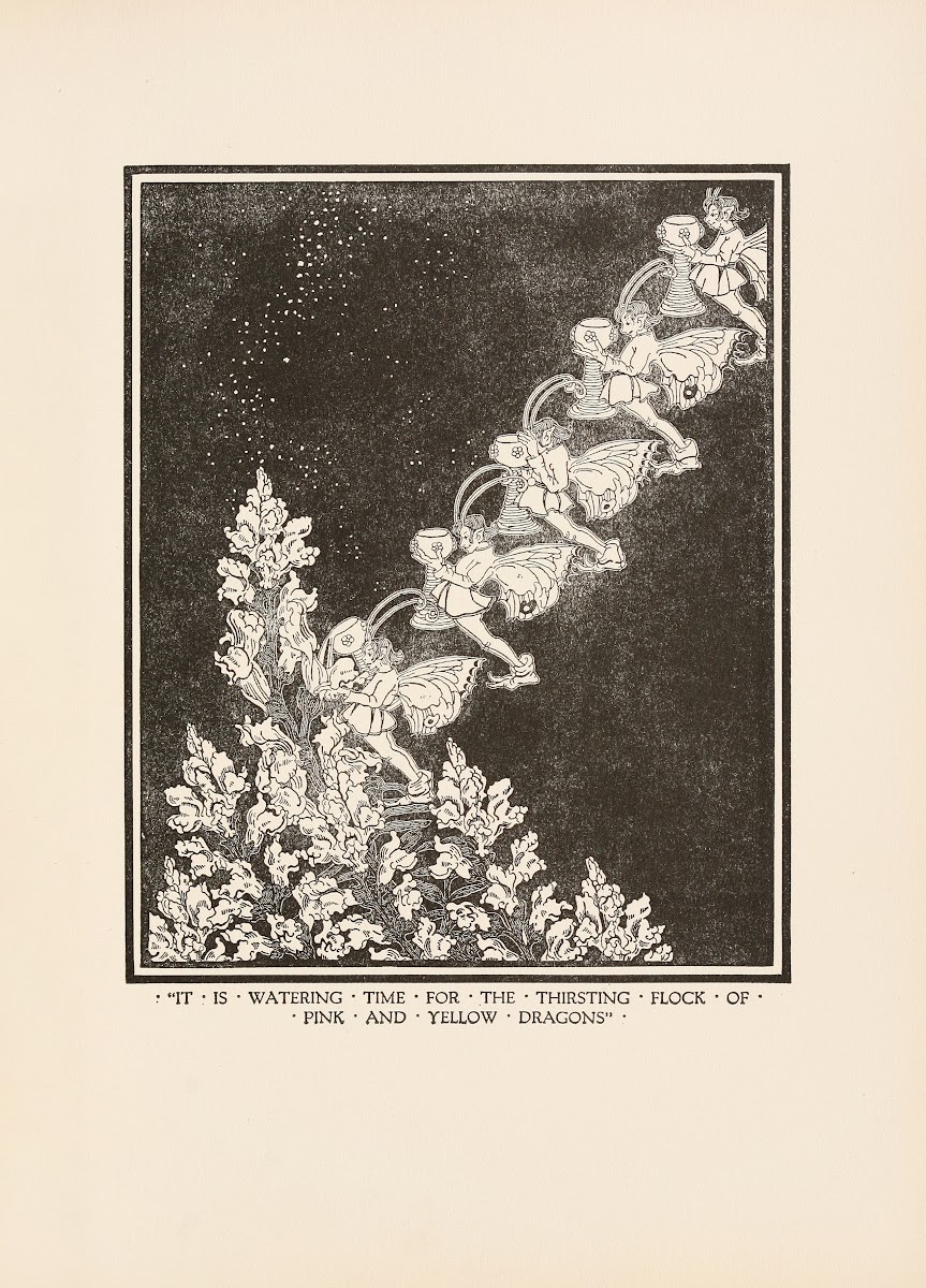 It is watering time for the thirsting flock of pink and yellow dragons 1920