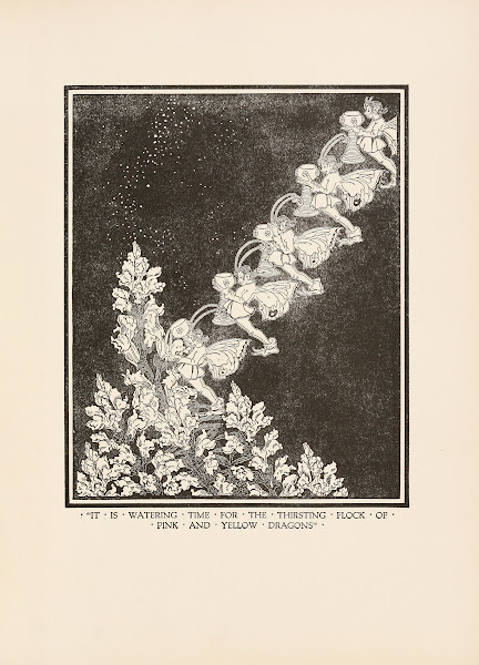 It is watering time for the thirsting flock of pink and yellow dragons 1920