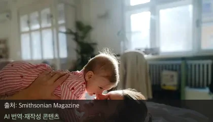 임신 중 뇌 변화 - 건망증인가요? 임신 중 뇌 변화가 일어나는 진짜 이유