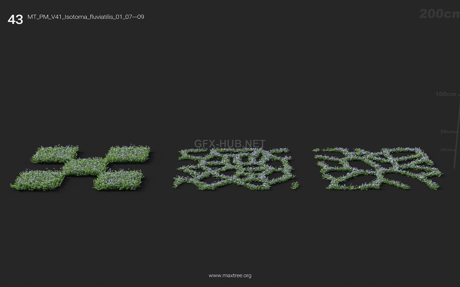 Maxtree - Plant Models Vol.41