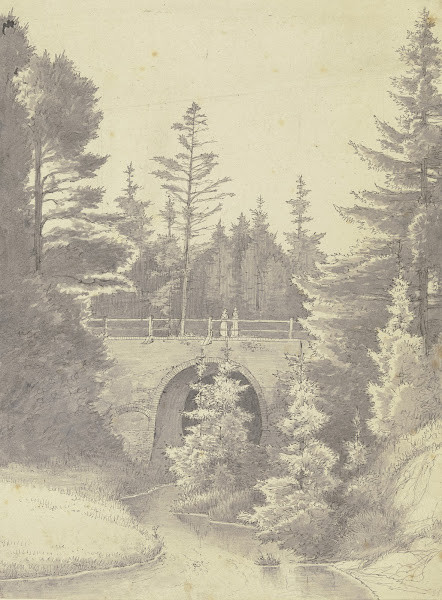 Brücke über einem Bach im Wald