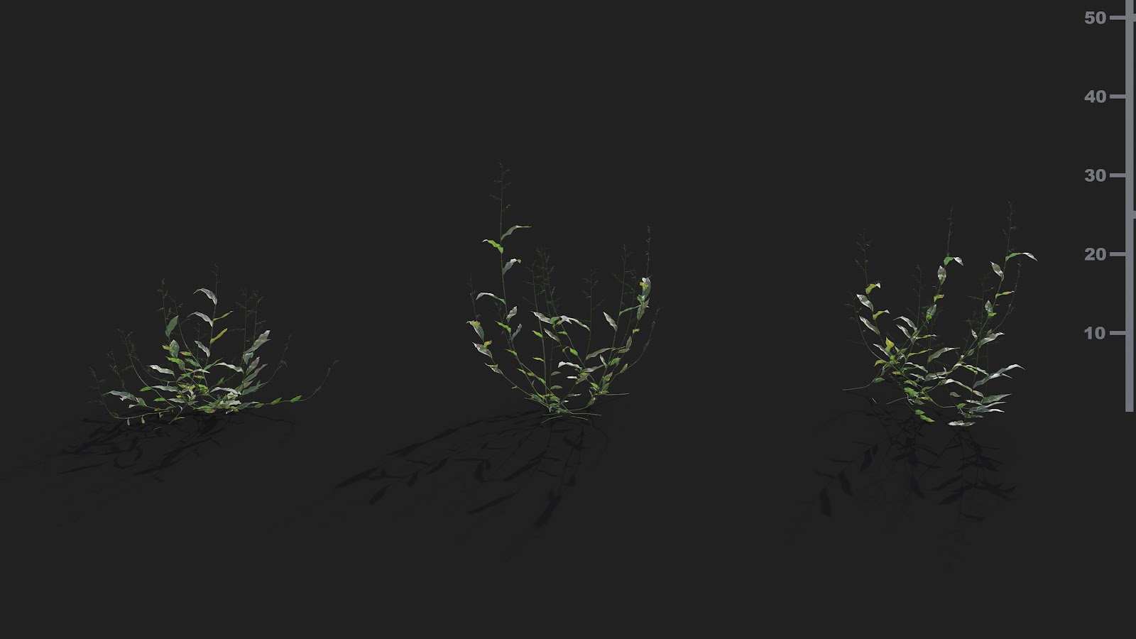 Maxtree - Plant Models Vol.21