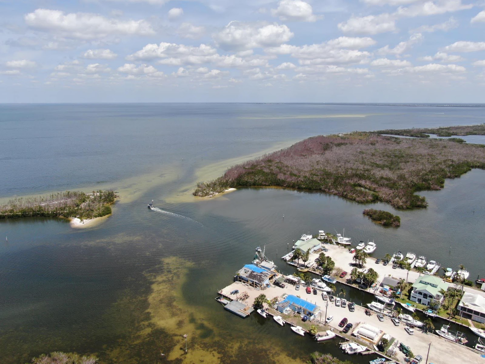 Birds Eye View