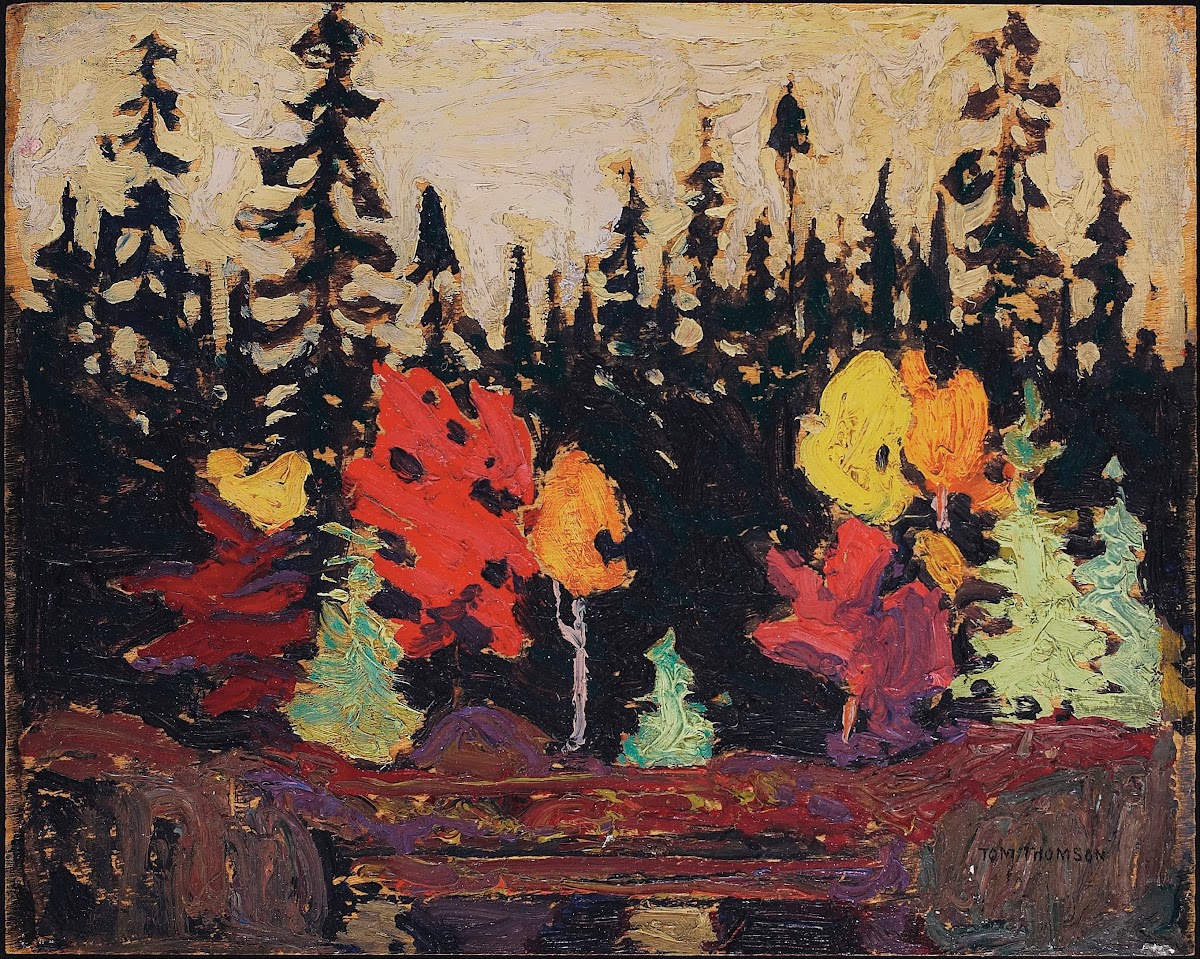 Black Spruce and Maple 1915