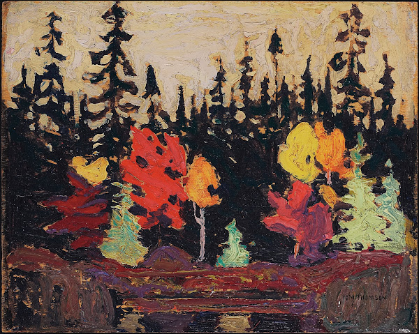 Black Spruce and Maple 1915