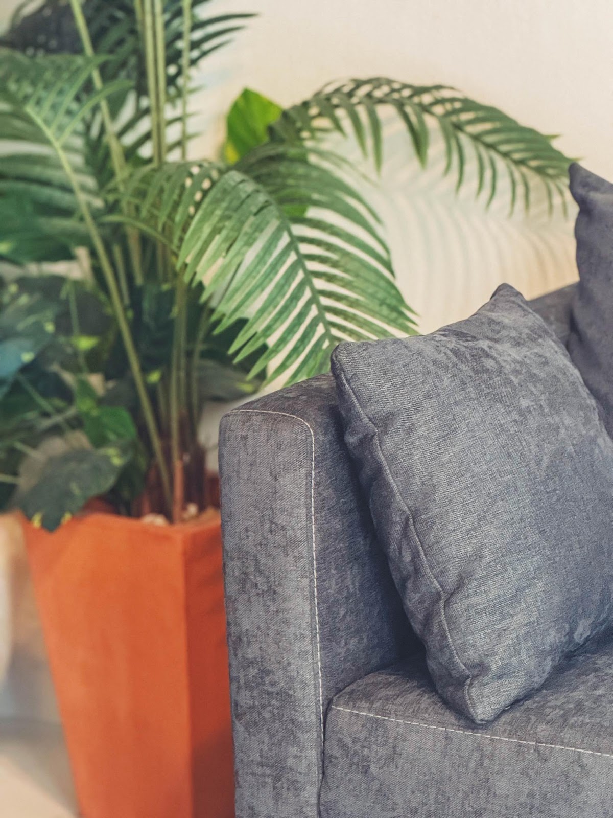 Villa Luna — living room plant detail