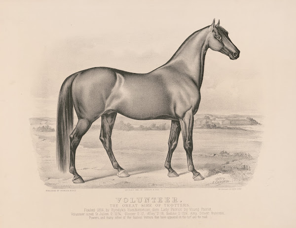 Volunteer the great sire of trotters 1880