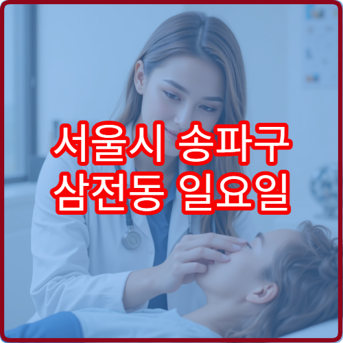 서울시 송파구 삼전동 일요일 이비인후과 진료 병원 귀 통증