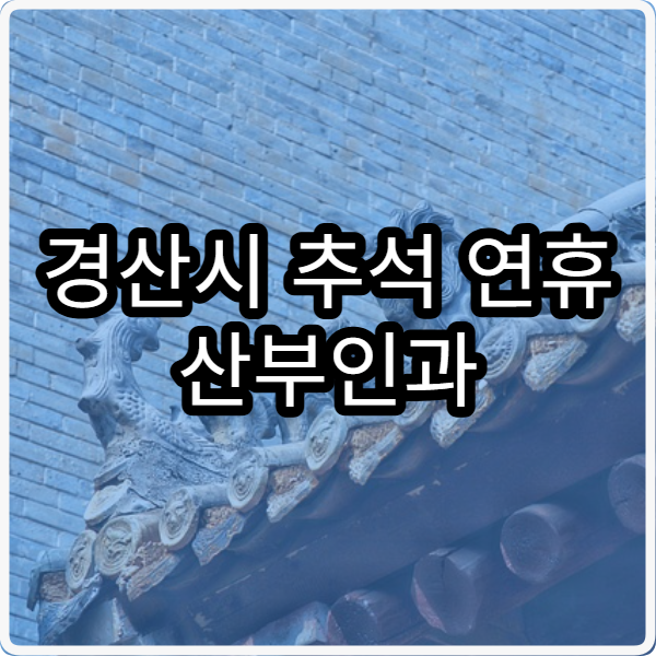 경산시 추석 연휴 산부인과 진료 병원 응급실 포함 정보