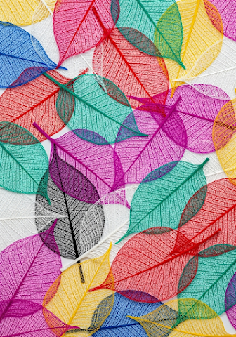 Vibrant Skeletal Leaf Pattern