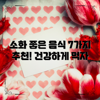 소화 잘되는 음식, 소화 건강, 소화력 향상, 건강한 식사, 소화 잘되는 음식 추천