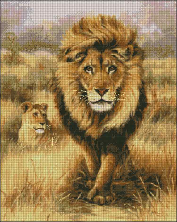 CMP 400464 Not A Couple