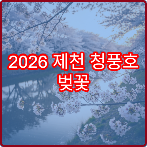 2026 제천 청풍호 벚꽃 캠핑 차박 물태리 추천 사이트 예약