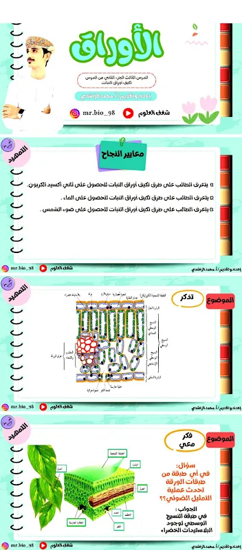 صورة الغلاف