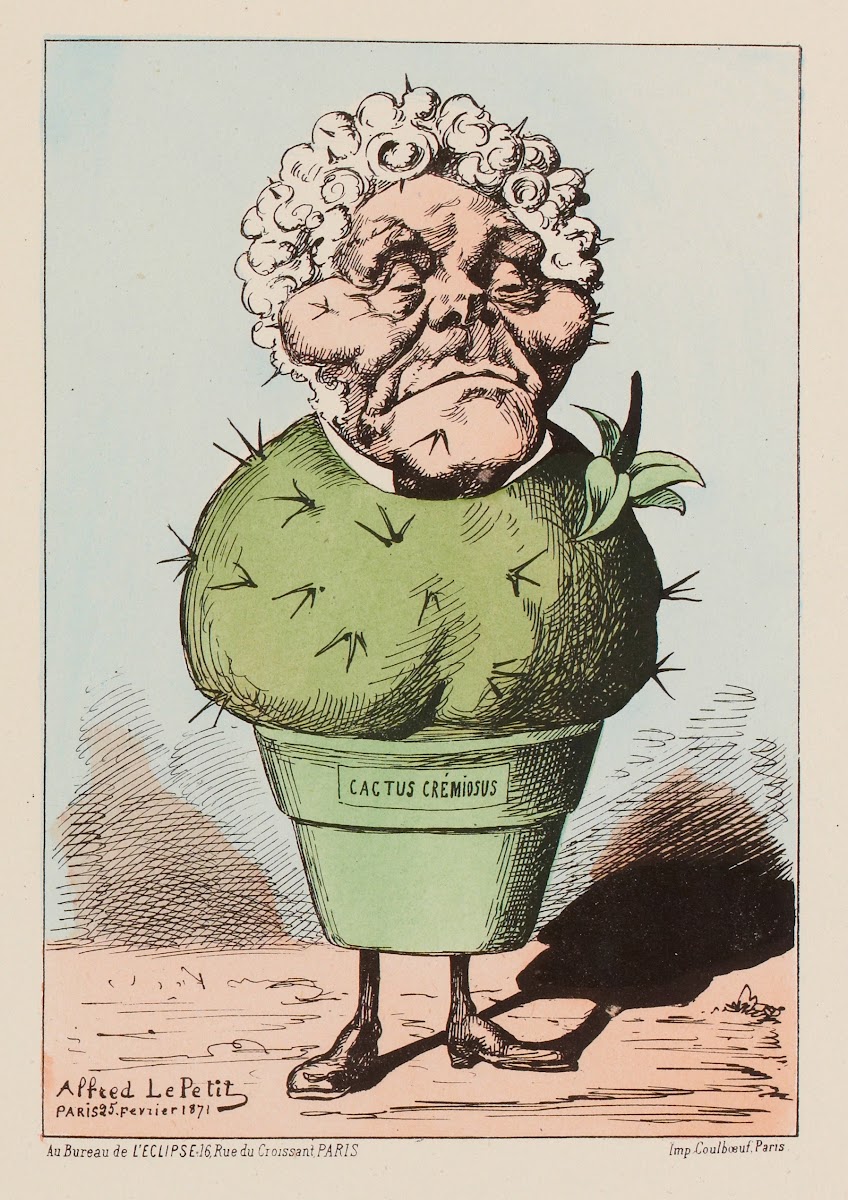 Plante grasse  M Crémieux