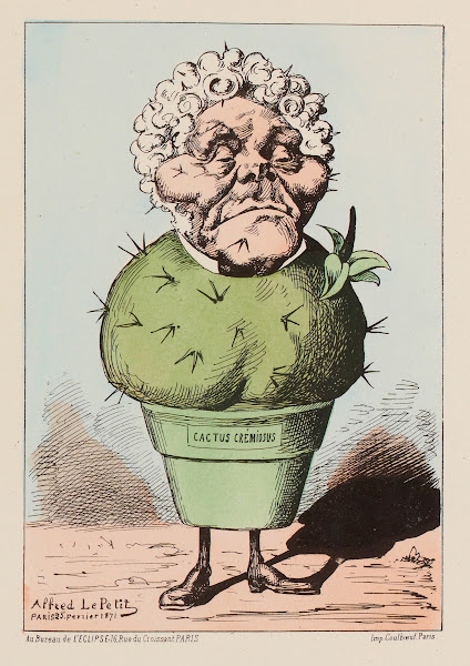 Plante grasse  M Crémieux