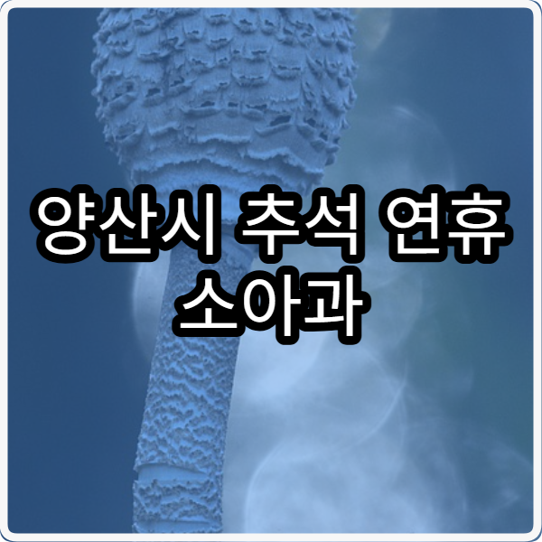 양산시 추석 연휴 소아과 진료 병원 확인하는 방법