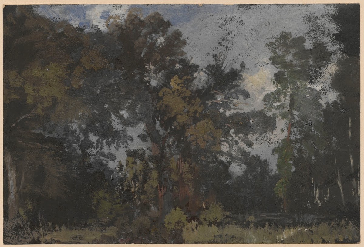 View of trees by the River Barycz 1850 1881