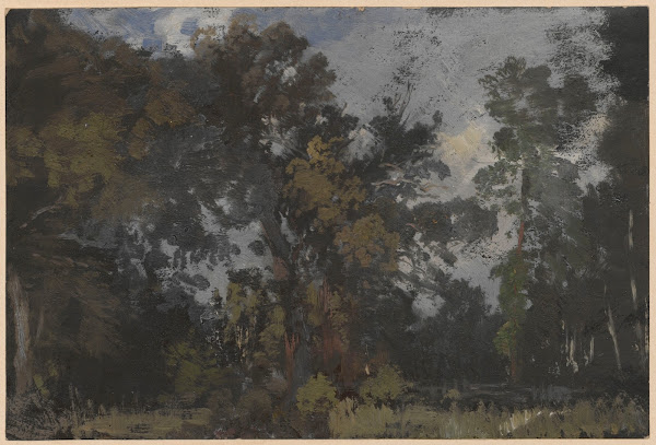 View of trees by the River Barycz 1850 1881